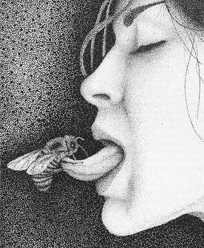 Foto publica de Abeja