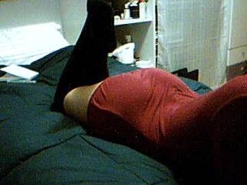 Foto publica de Abeja